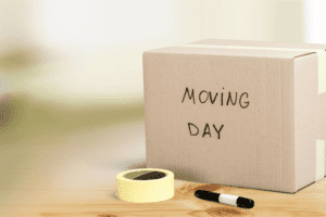 Read more about the article Surviving a Move